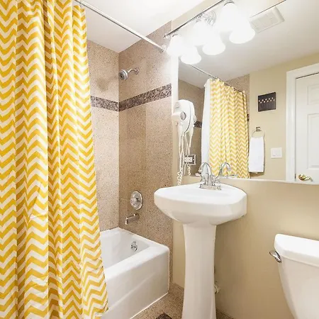 Studio On E Bellevue Place Apt Ga Apartment Chicago
