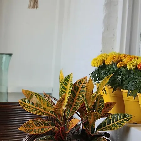 Apartment Unique Designer In Ukrainian Village