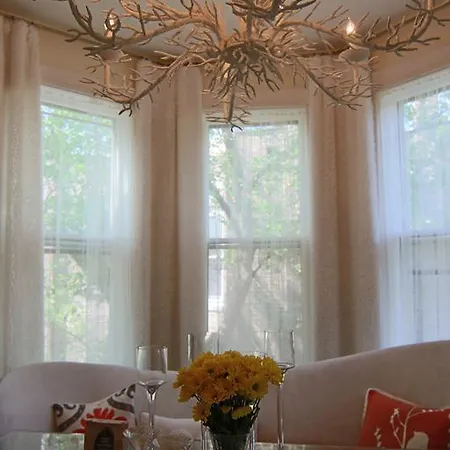 Unique Designer In Ukrainian Village *