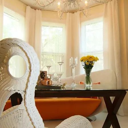 Unique Designer In Ukrainian Village * Chicago