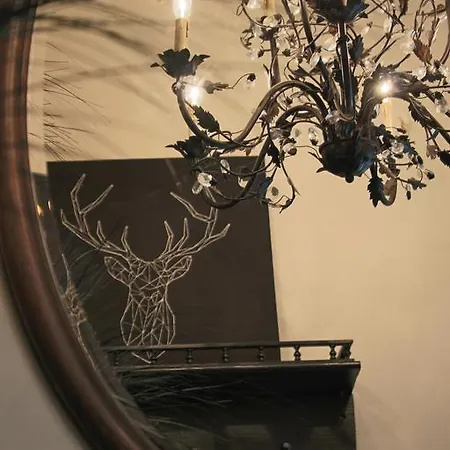 Unique Designer In Ukrainian Village Chicago