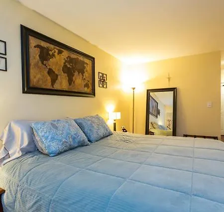 Cozy 2 Bed 2 Bath In Lincoln Park Apartment *
