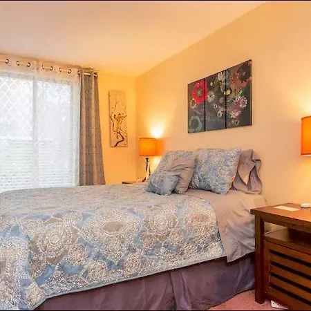 Apartment Cozy 2 Bed 2 Bath In Lincoln Park