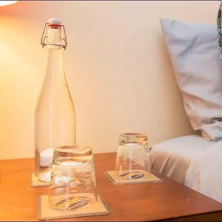 Cozy 2 Bed 2 Bath In Lincoln Park Apartment *