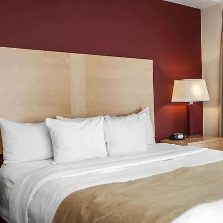 Comfort Michigan Avenue Hotel Chicago