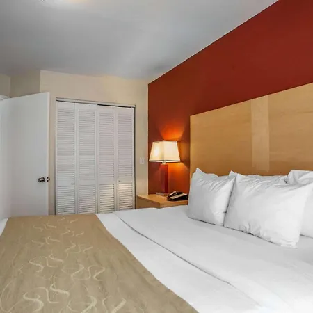Hotel Comfort Michigan Avenue
