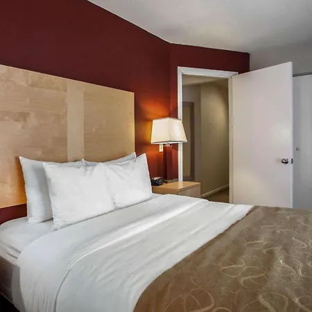 Comfort Michigan Avenue Hotel