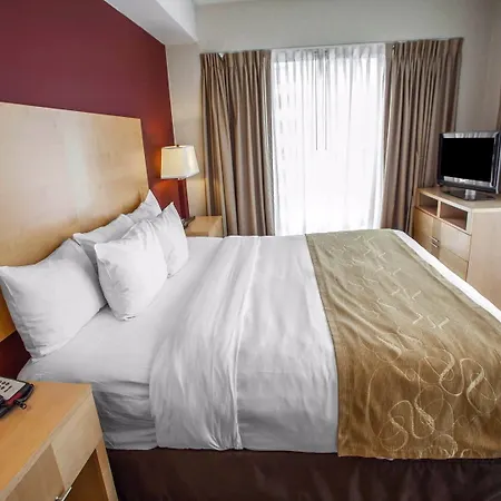 Comfort Michigan Avenue 3*