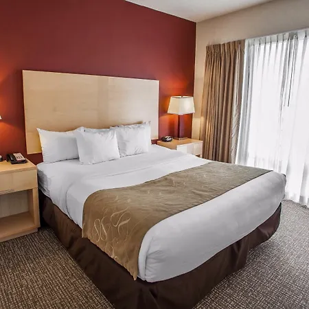 Hotel Comfort Michigan Avenue 3*