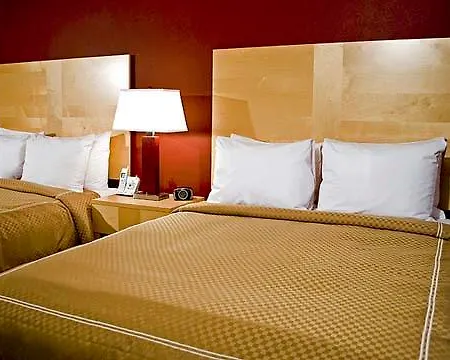 Hotel Comfort Michigan Avenue