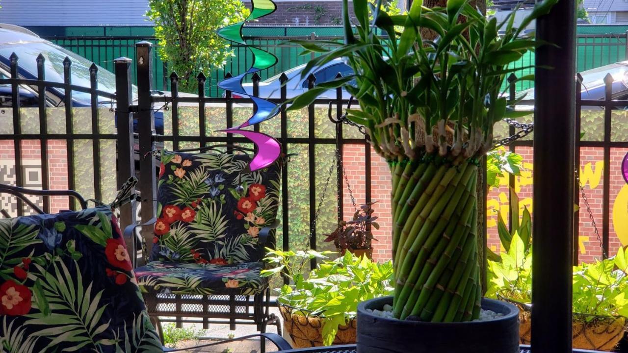 Wrigleyville Oasis Apartamento