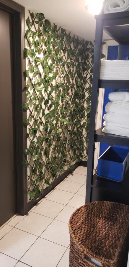 Apartamento Wrigleyville Oasis