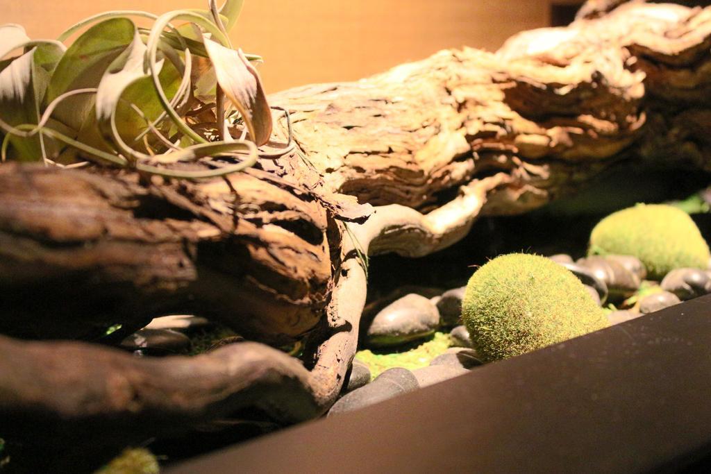 Bridgestreet At State And Grand 4* Chicago