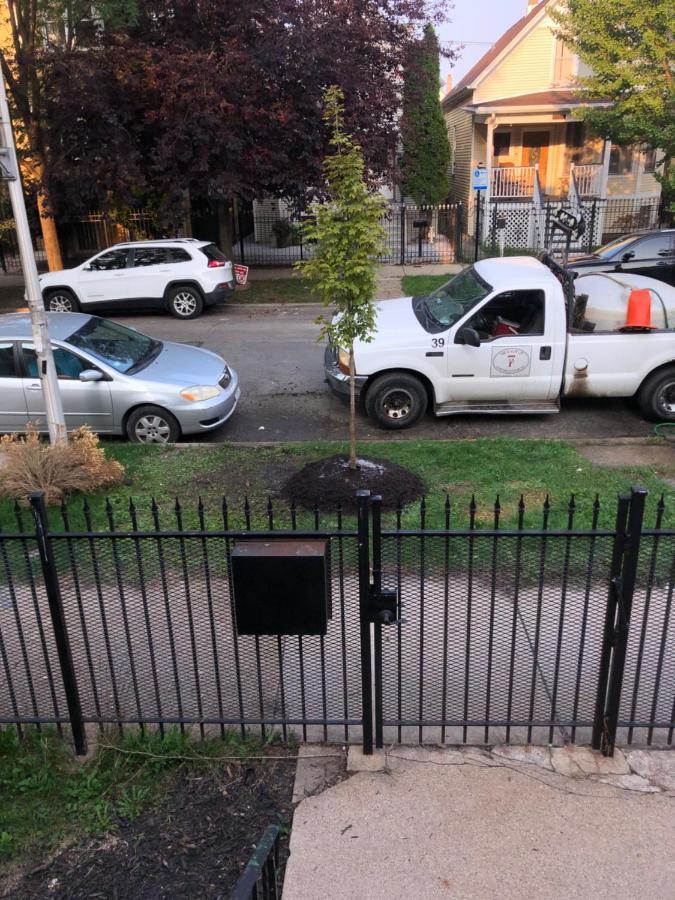 Apartment Logan Square Modern