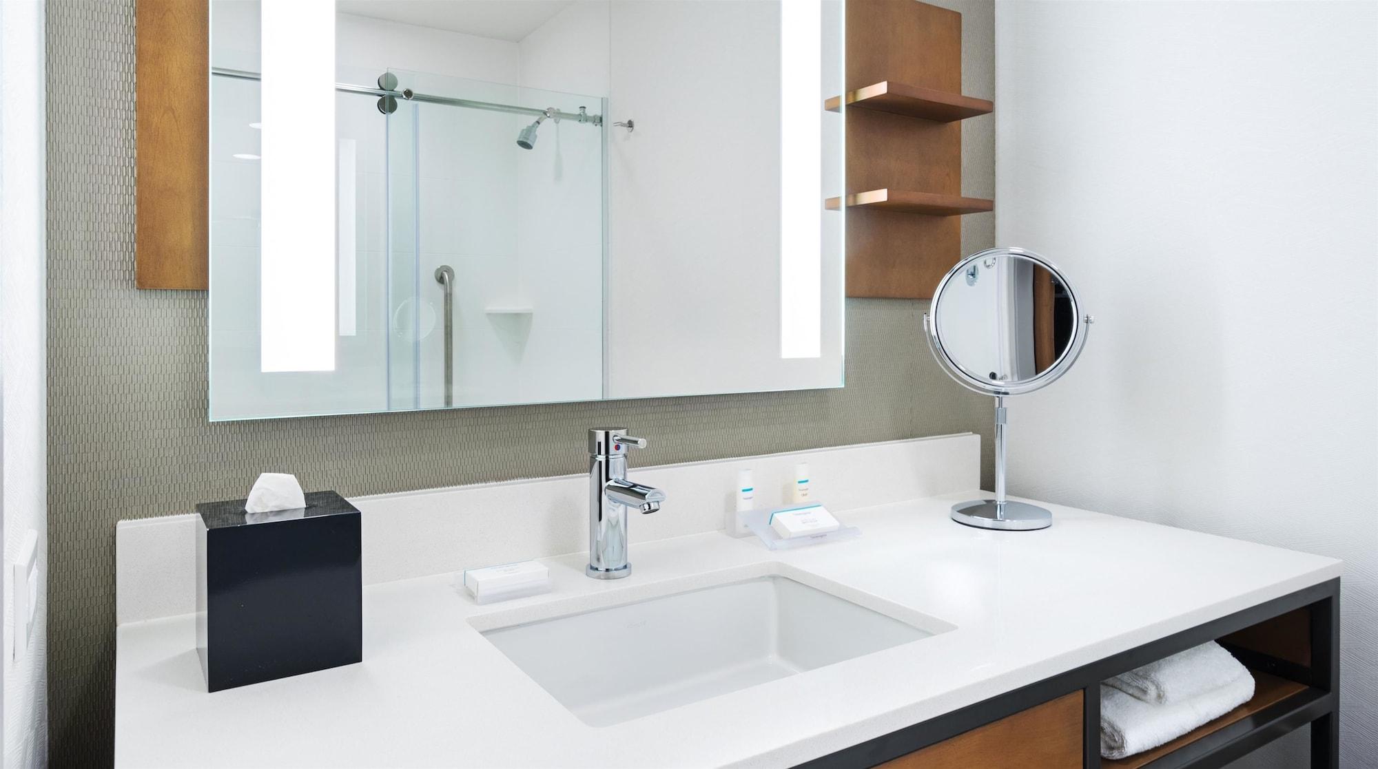 Hilton Garden Mccormick Place Hotel 3*