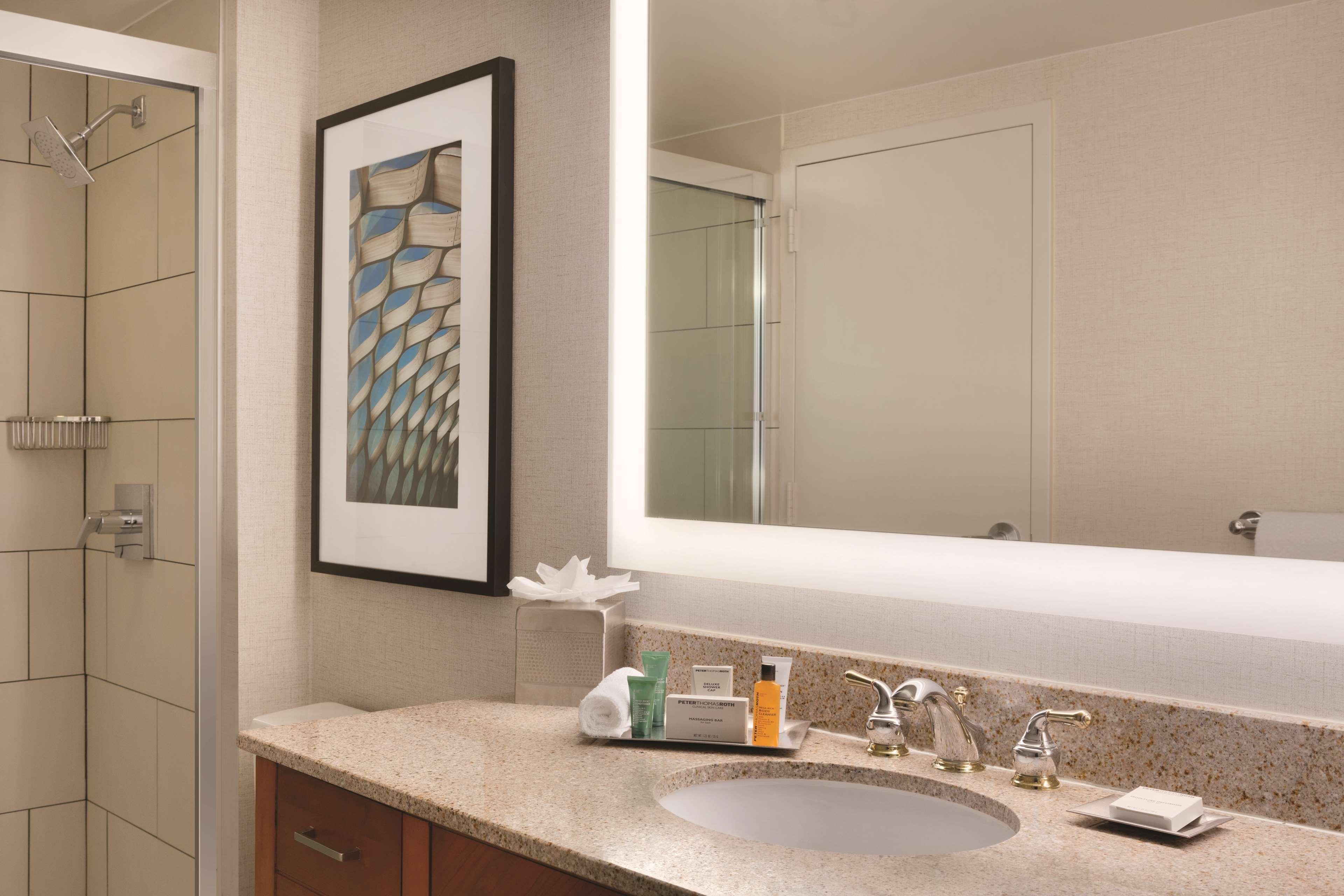 Hotel Hilton Chicago/magnificent Mile 3*