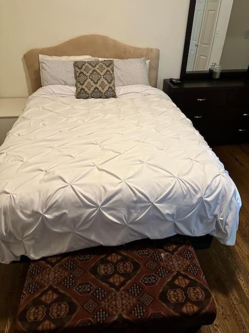 Beautiful Hyde Park Brownstone * Chicago