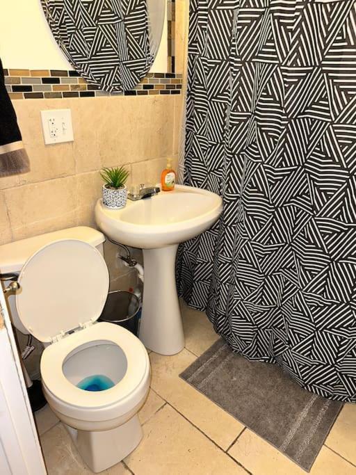 Beautiful Hyde Park Brownstone *