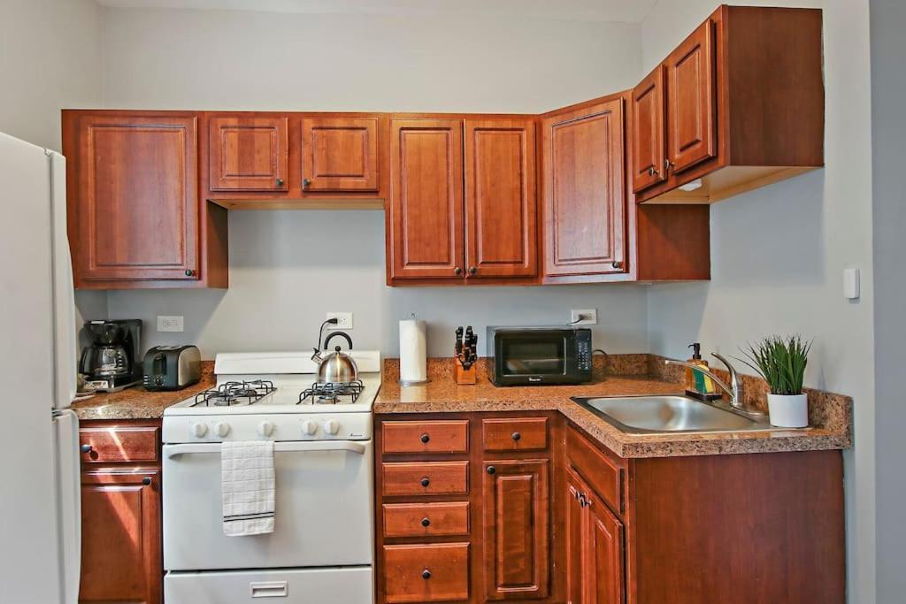 Enchanting 1-bedroom Lakeview - Belmont F6 Appartement