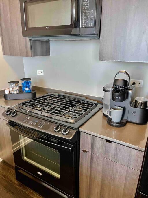 Penthouse In South Loop * Chicago