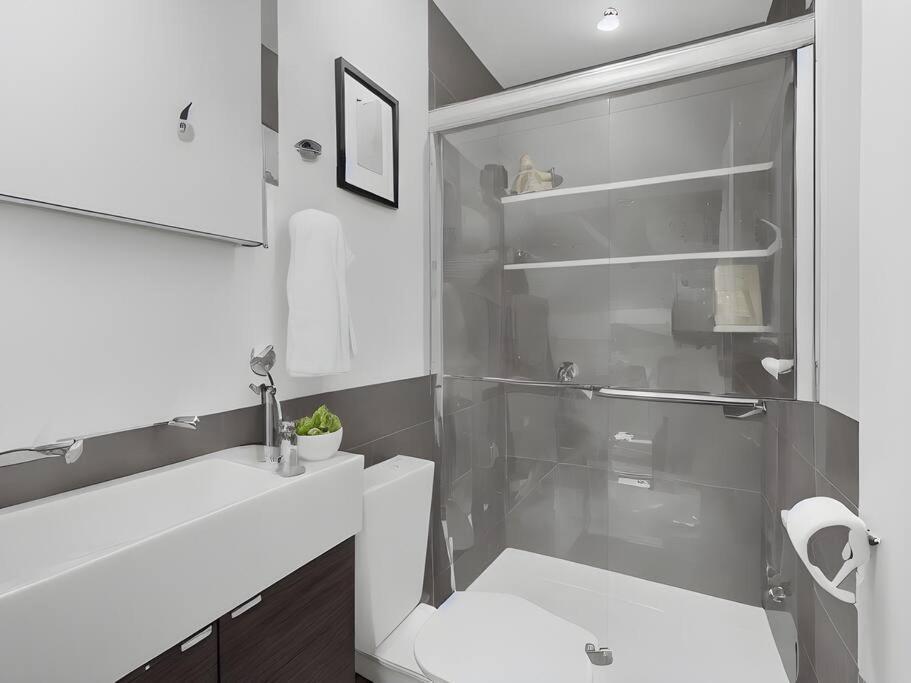 Modern & Fully Furnished 1br - Oakdale 3s Appartement Chicago