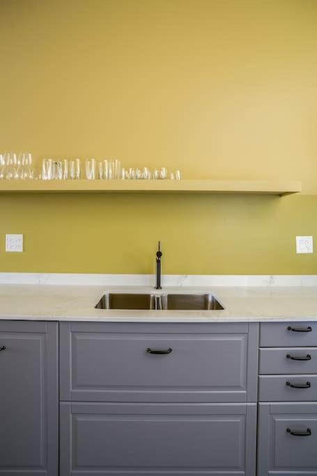 Beautifully Remodeled Flat Downtown #3n Chicago