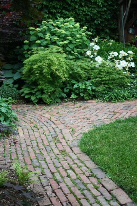 Iklektik House // Cardinal * Chicago