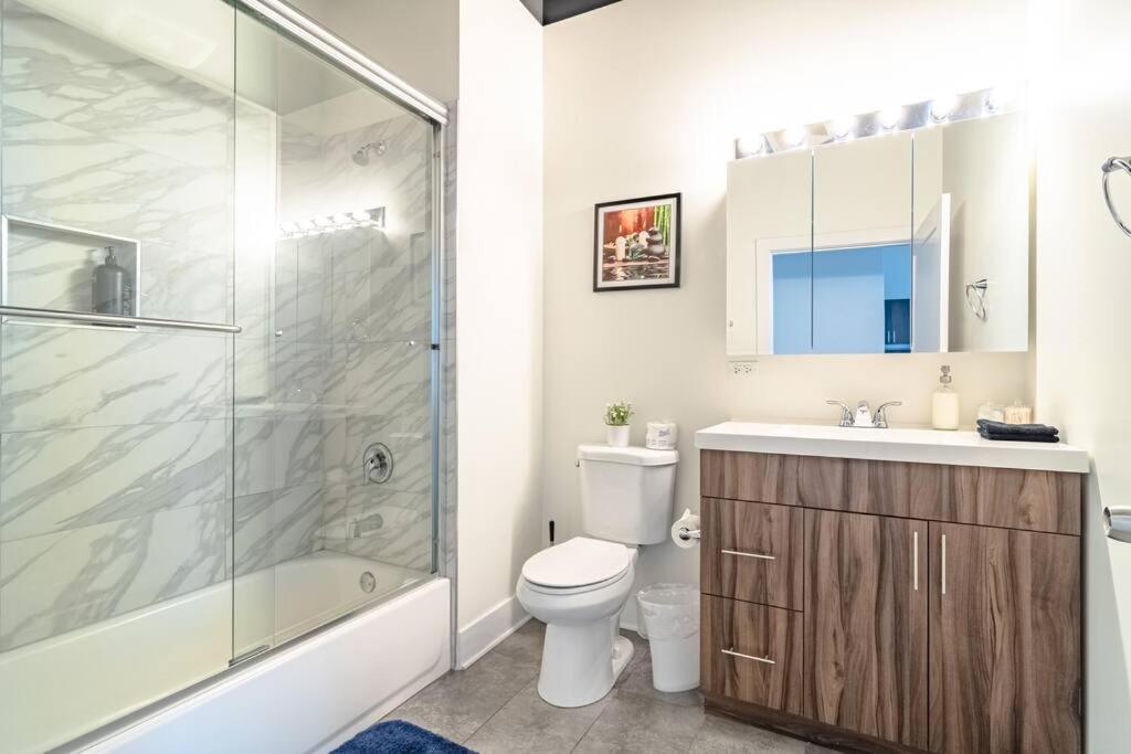 Spacious South Loop 2Br Apartment Near Mccormick Place, Soldier Field & Downtown Chicago Apartment