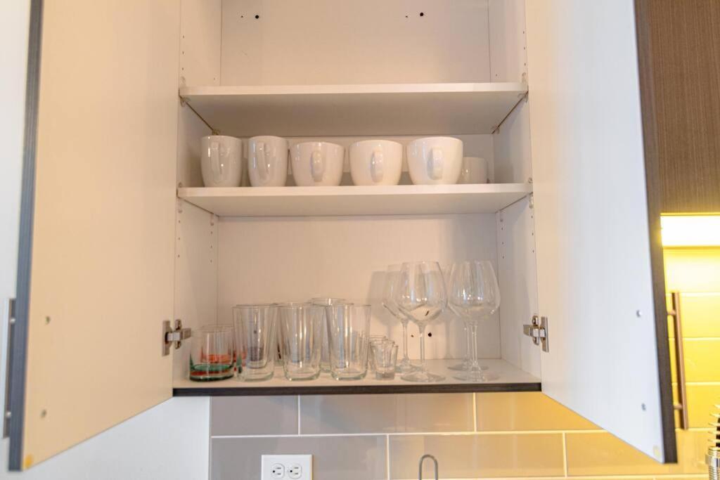 Stylish 2Br Suite With Optional Parking & Gym Access Near Lakefront, Shedd Aquarium And Mccormick Center Apartment Chicago
