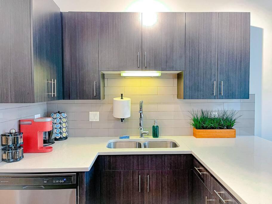 Spacious 420-friendly 2br Retreat Near Mccormick Place, Grant Park And Soldier Field Apartment Chicago
