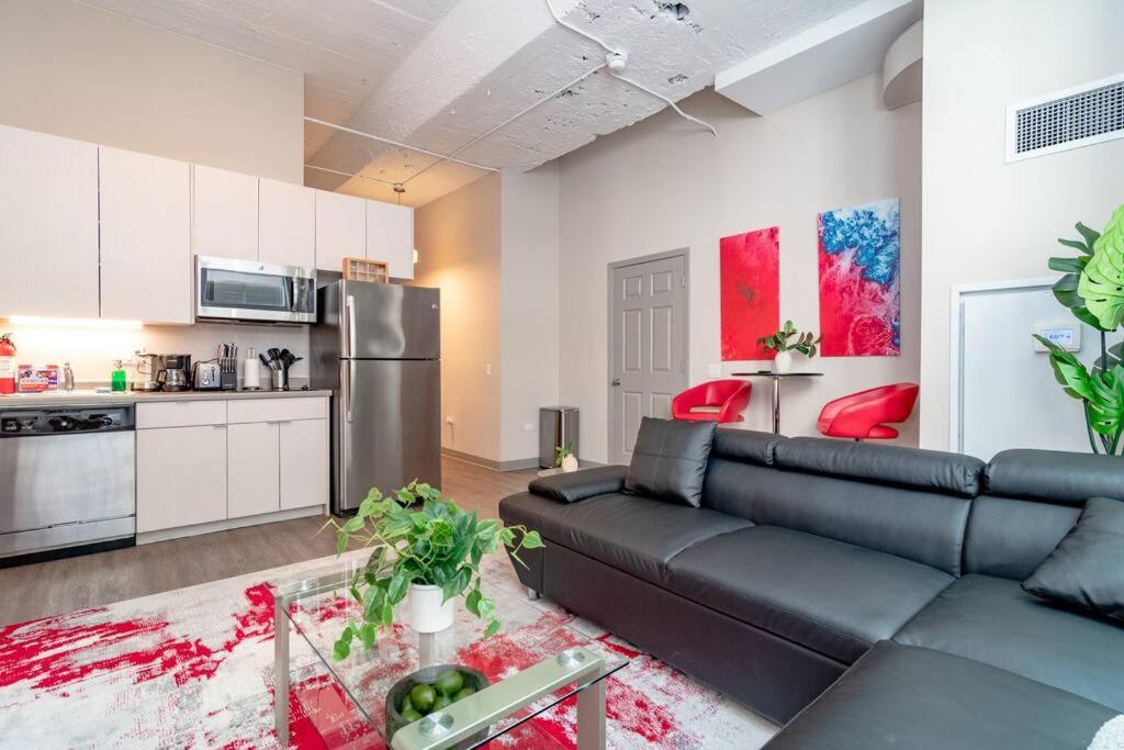 Bright 2Br Apt With Gym And Optional Parking Near Soldier Field, Museum Campus, Mccormick Place