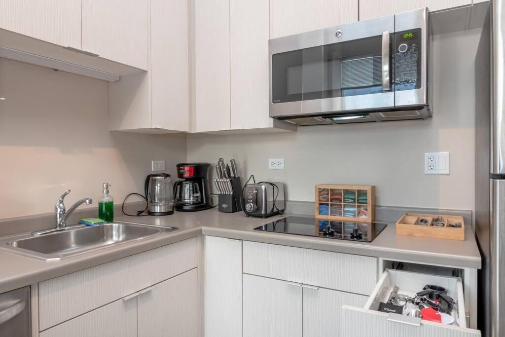 Apartment South Loop 2br Retreat Near Grant Park, Soldier Field, Adler Planetarium & Columbia College *