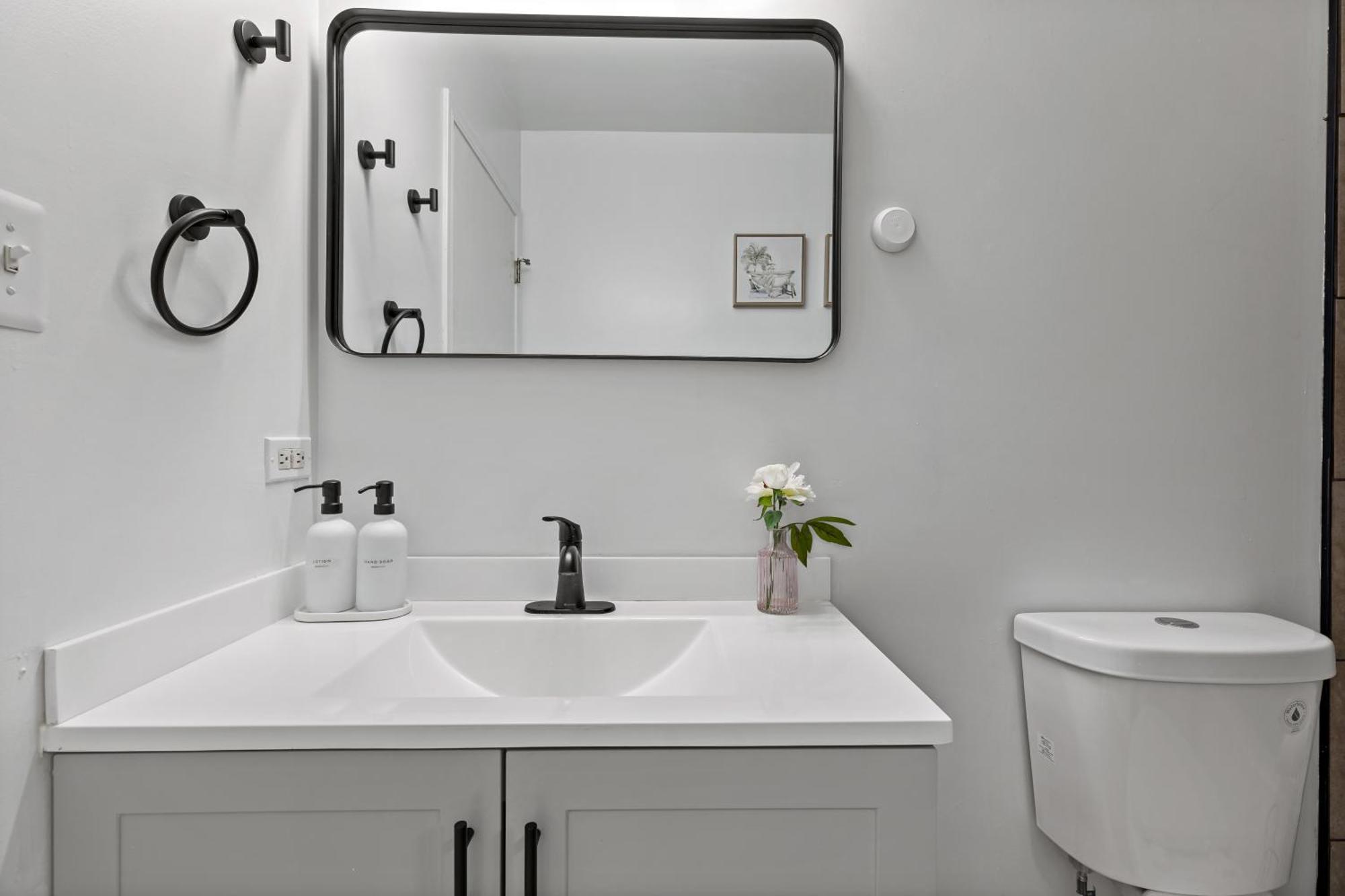 The Haven, Great Location Near Downtown, Medical District And United Center Apartment