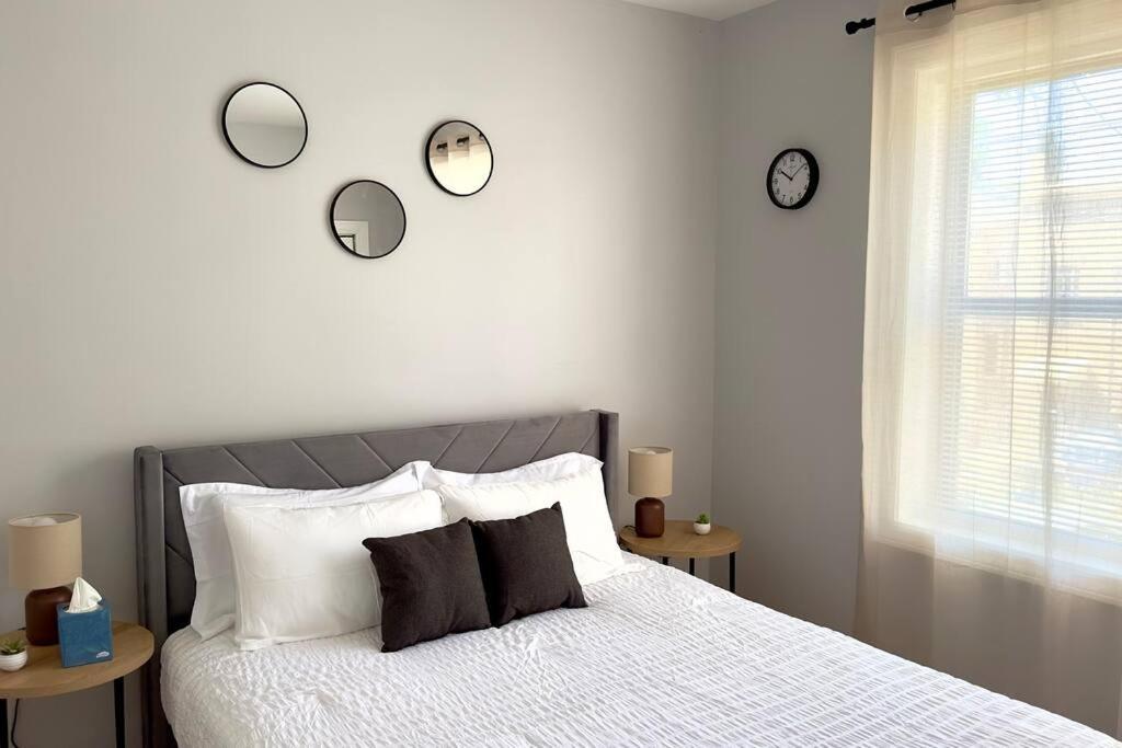 Comfy Retreat In Rogers Park, Prime Location! Apartment Chicago