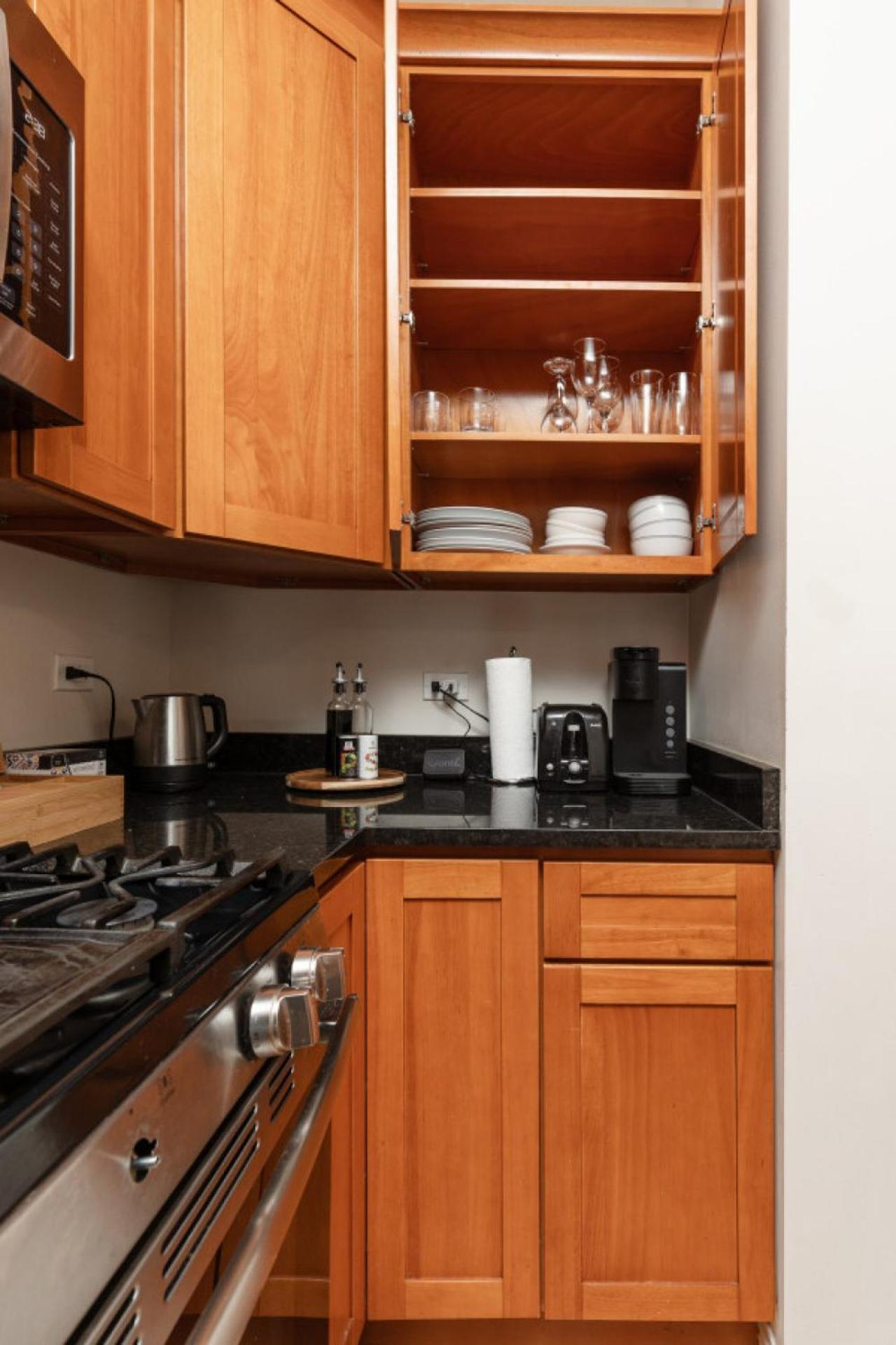 Apartment Wicker Park 2br Modern Dv3 *