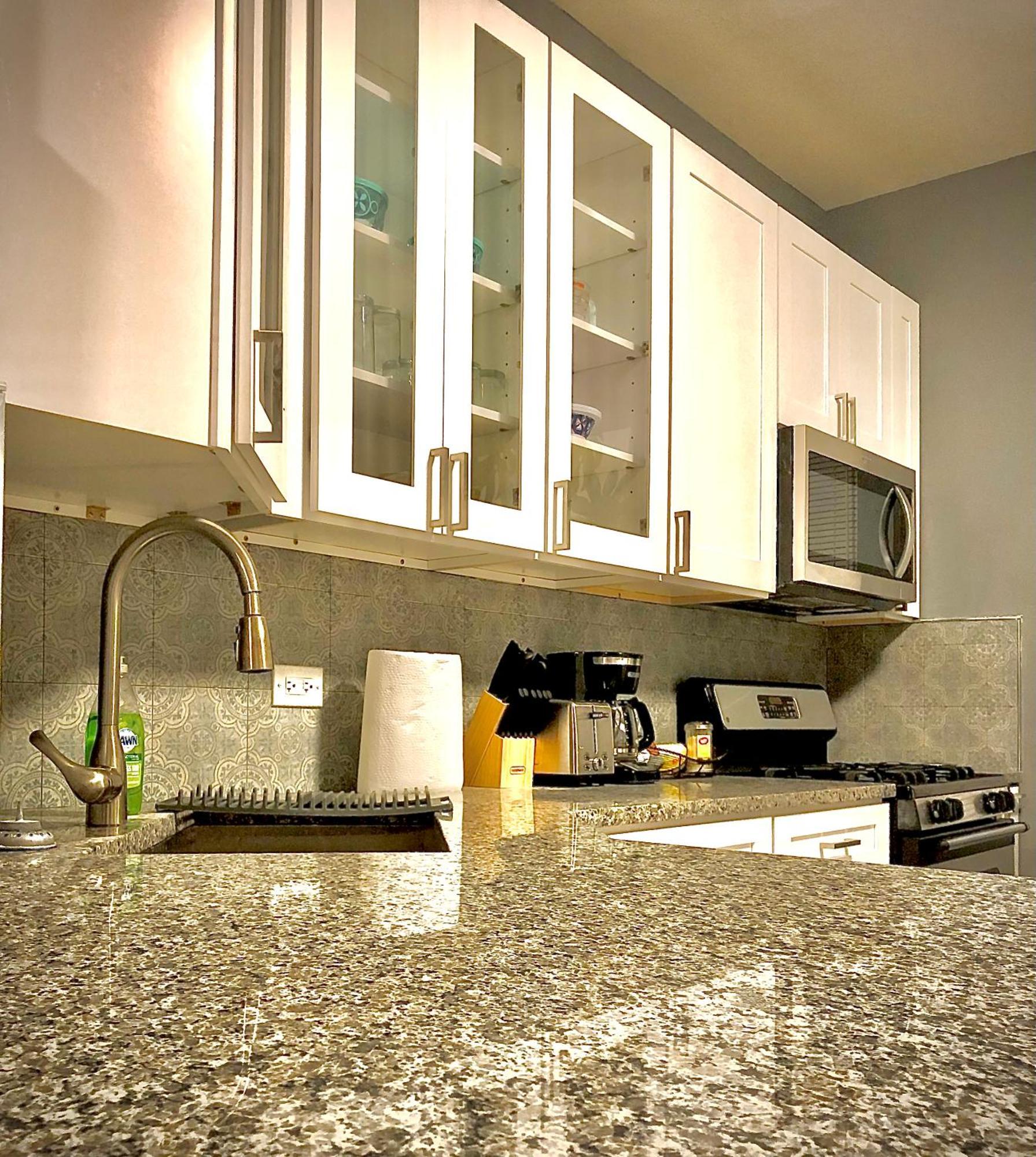 Apartment Urban Coach Penthouse - Near Train, Medical District, And Downtown Chicago