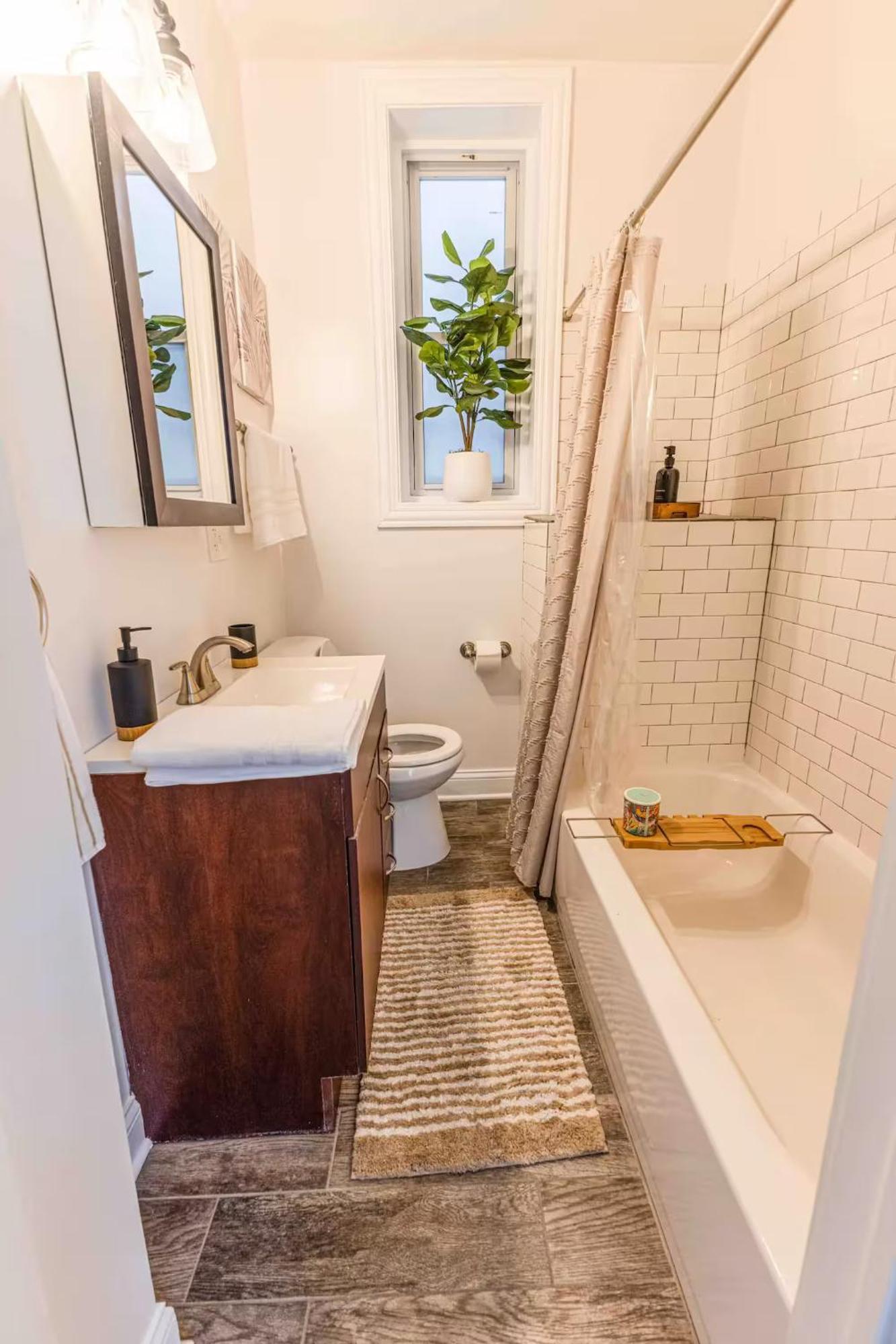 Apartment Tropical Boho Oasis Chicago