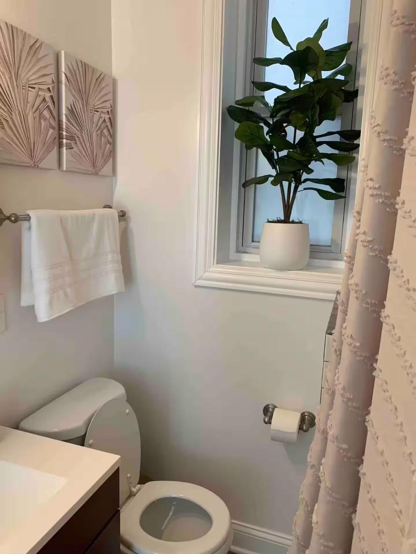 Tropical Boho Oasis Chicago