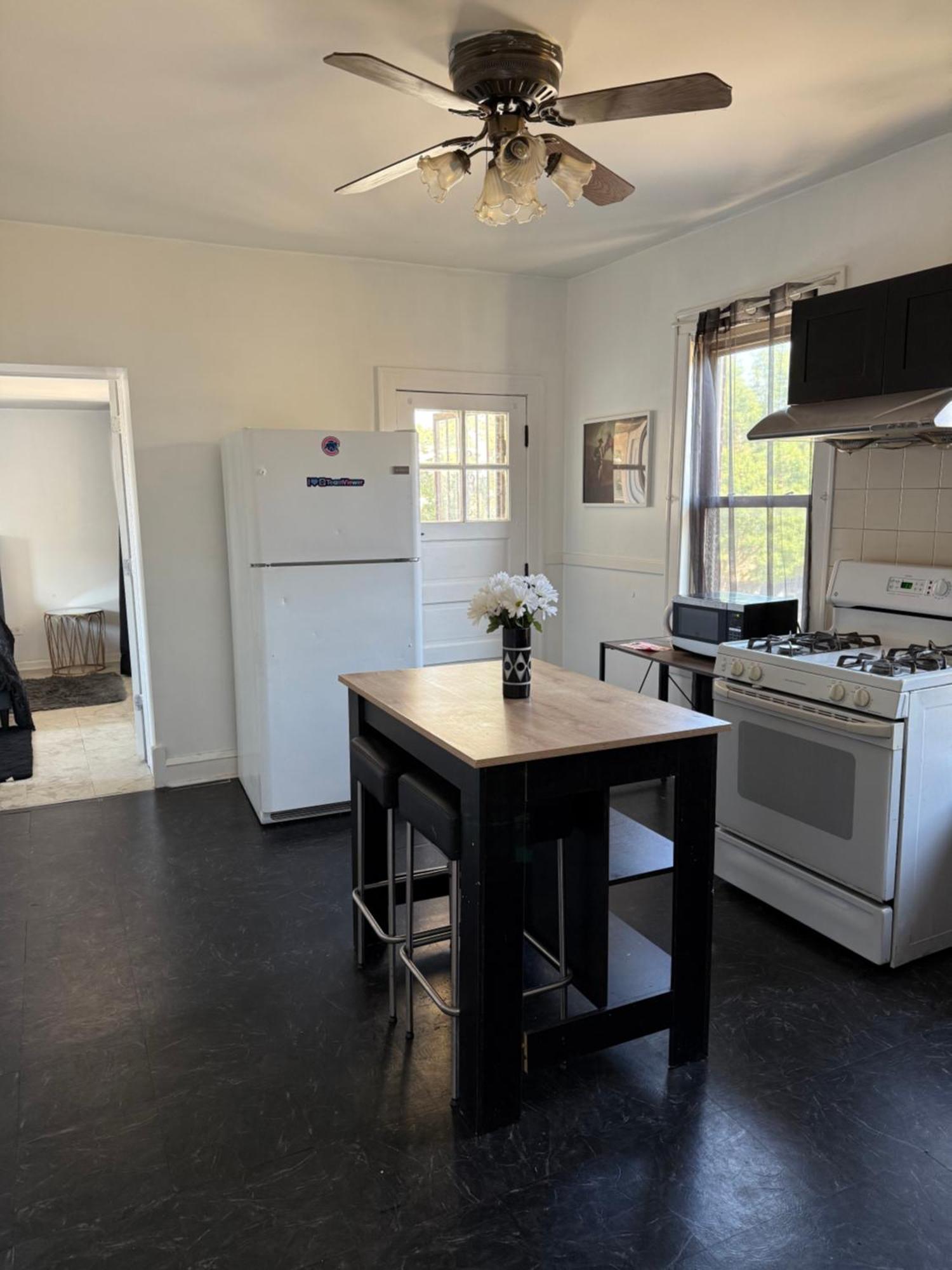 Apartment Free Parking! Private Rooftop! 3bd Near Downtown! Chicago