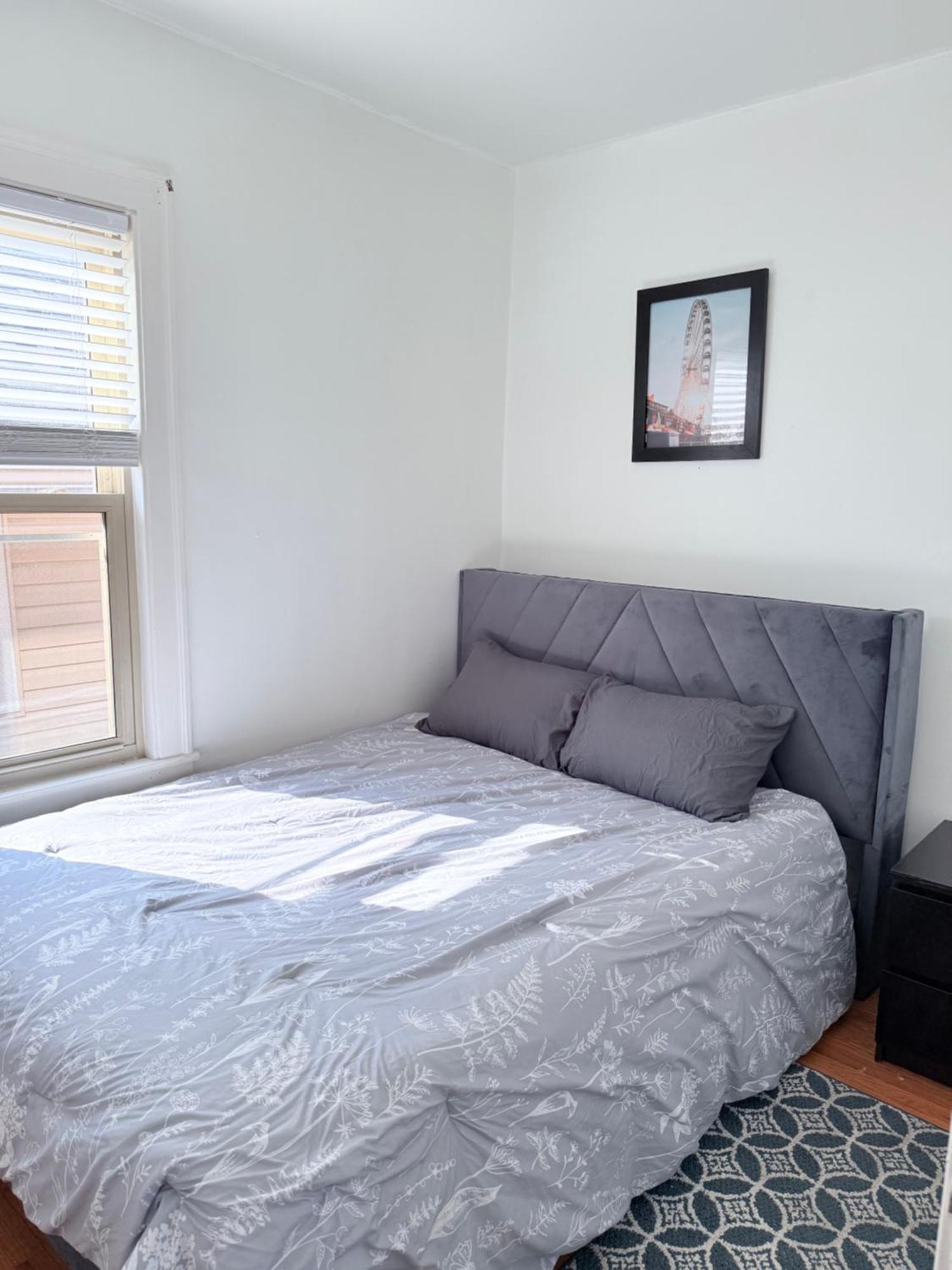 Free Parking! Private Rooftop! 3bd Near Downtown! Apartment Chicago