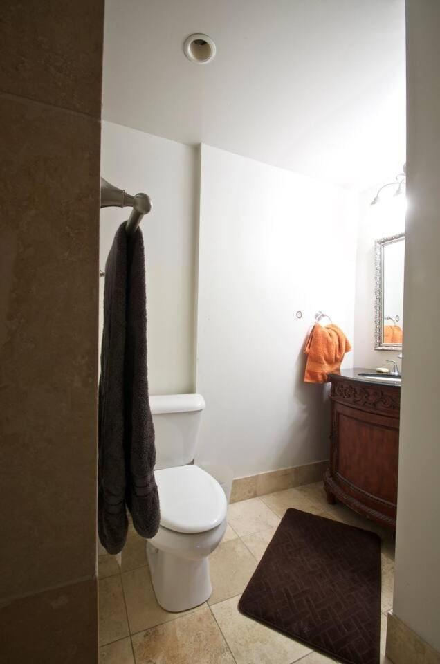 Amazing Wicker Park Penthouse With Skyline Views