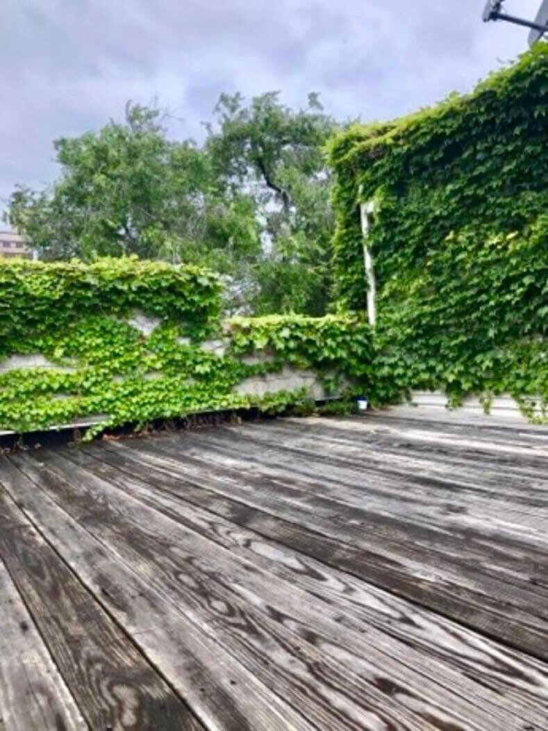 Holiday home 2 Rooftops 2 Car Garage 4 Stories Chicago