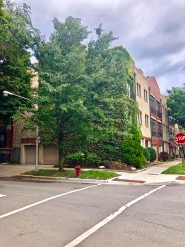 Holiday home 2 Rooftops 2 Car Garage 4 Stories Chicago