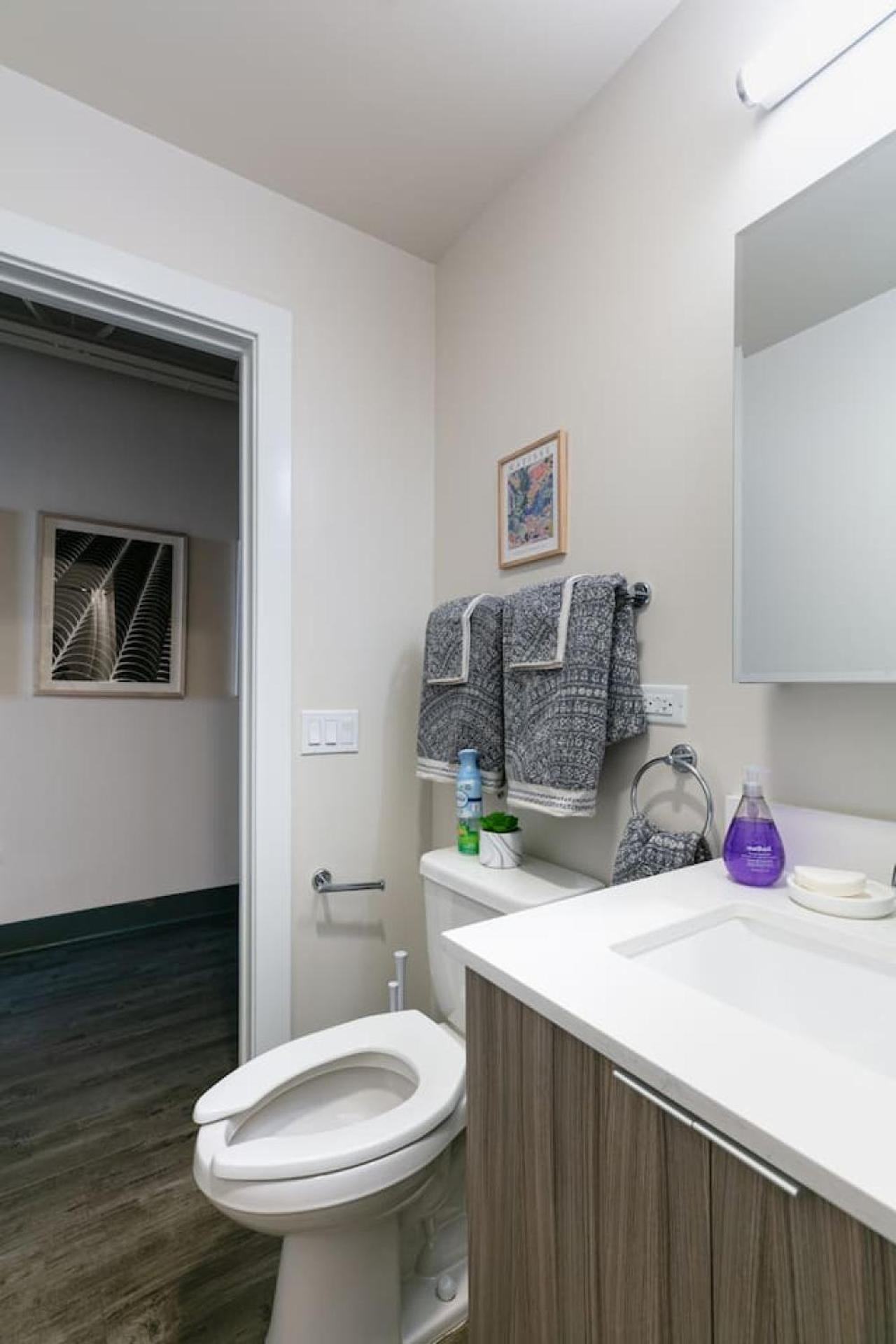 Downtown Mich Ave - 6 Penthouses, Sleep 25 Holiday home Chicago