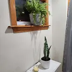 Apartment Relaxing Entire Roseland Neighborhood Unit Chicago