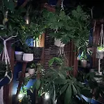 Cozy Castle - Centrally Located Connected Condo