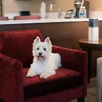 Residence Inn Chicago Downtown/Loop