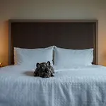 Homewood Suites By Hilton Chicago West Loop Fulton Mkt Area
