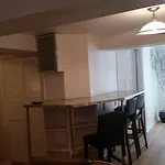 Grand Apartment In Downtown Pilsen/Mccormick Place/Uic