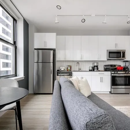 Loop 1br Wgym Roofdeck Wd Nr W Loop The L Chi-200 Apartment *